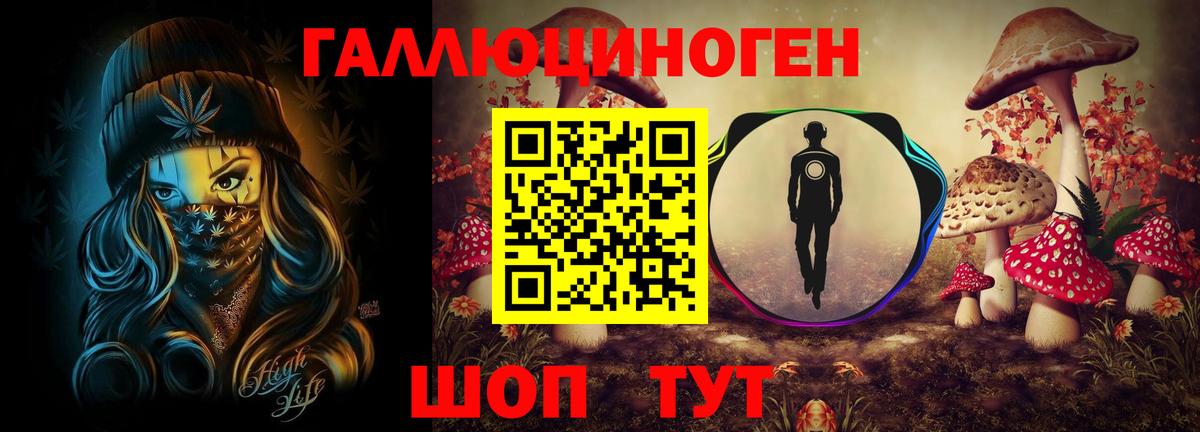 Галлюциногенные грибы Psilocybe Иваново