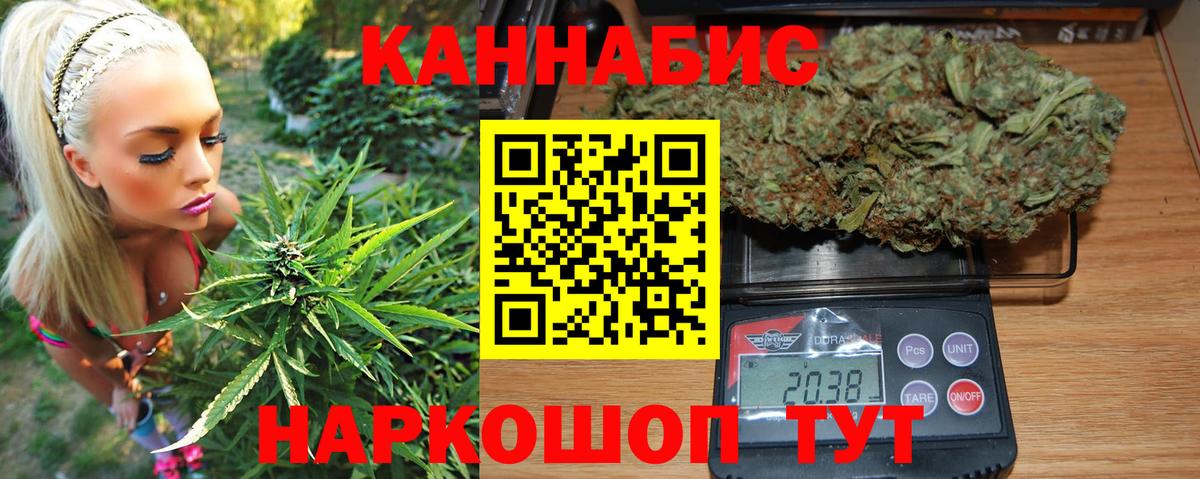 Бошки Шишки планчик Иваново
